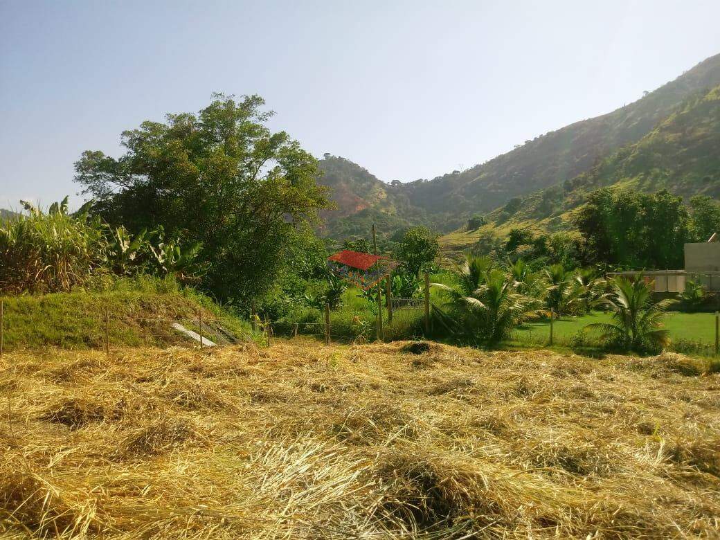 Chácara à venda com 1 quarto, 2000m² - Foto 8